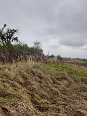 Земельный участок W-7421861, Дымер - Фото 2