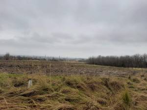 Земельный участок W-7421861, Дымер - Фото 4