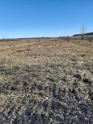 Земельный участок W-7422046, Новые Петровцы - Фото 2