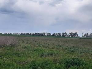 Земельный участок W-7422046, Новые Петровцы - Фото 1