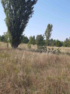 Земельный участок W-7422046, Новые Петровцы - Фото 3