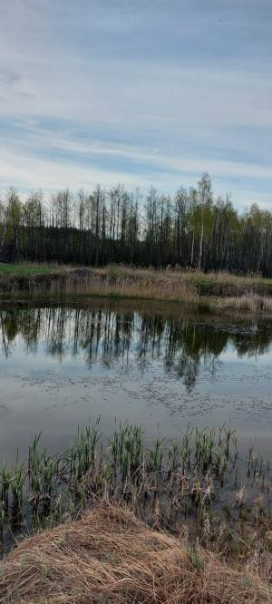 Дом W-7423311, Иванков - Фото 6