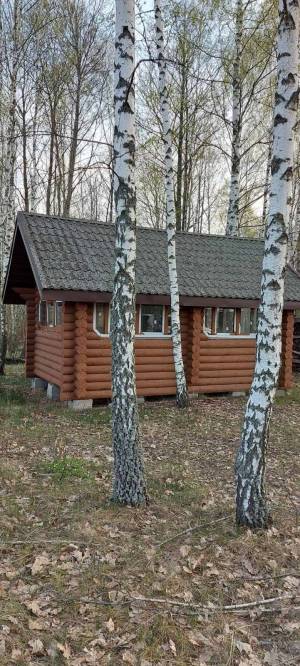 Дом W-7423311, Иванков - Фото 8