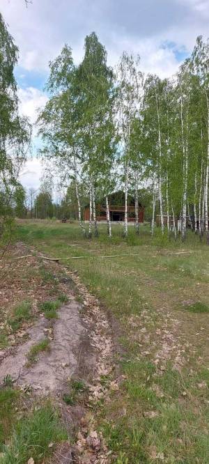 Дом W-7423311, Иванков - Фото 7