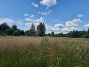 Земельный участок W-7424775, Глебовка - Фото 1