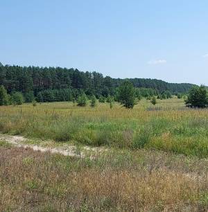 Земельный участок W-7424775, Глебовка - Фото 2