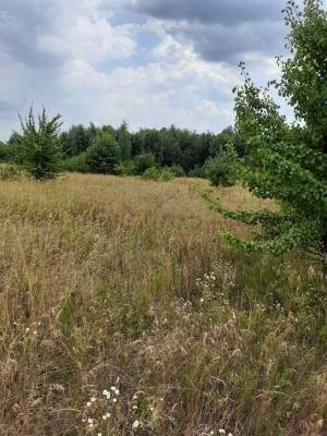 Земельный участок W-7424775, Глебовка - Фото 4