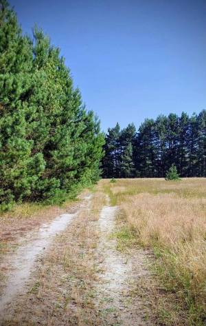 Земельный участок W-7424775, Глебовка - Фото 3