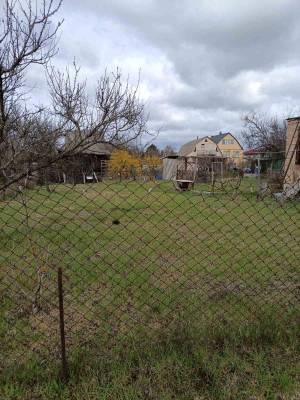 Земельна ділянка W-7445174, Новосілки (Вишгородський) - Фото 7