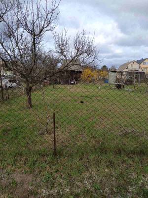Земельна ділянка W-7445174, Новосілки (Вишгородський) - Фото 8