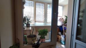 Квартира W-7395753, Княжий Затон, 2/30, Киев - Фото 4