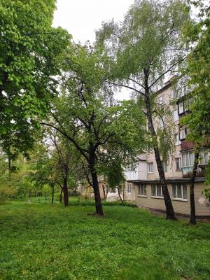 Apartment W-7271858, Dontsia Mykhaila, 14б, Kyiv - Photo 14