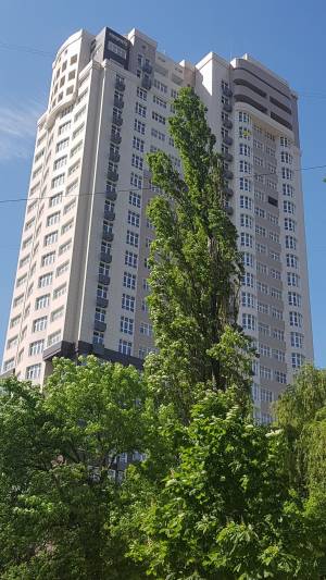 Квартира W-7168600, Іоанна Павла ІІ (Лумумби Патріса), 11, Київ - Фото 10