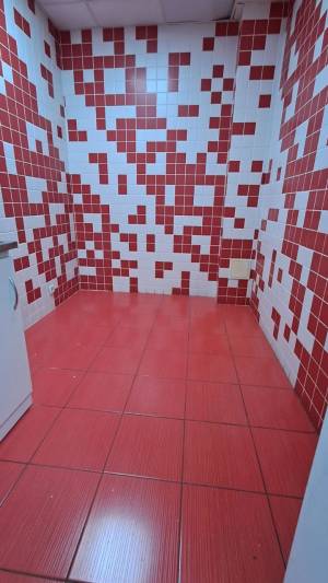  Нежилое помещение, W-7406002, Рылеева, 7, Киев - Фото 10