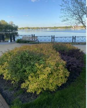 Квартира W-7425400, Приозерна, 12а, Київ - Фото 14