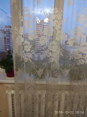 Apartment W-6594601, Lyfaria Serzha (Saburova Oleksandra), 5, Kyiv - Photo 1