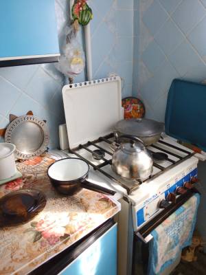Квартира W-7321619, Лифаря Сержа (Сабурова Александра), 1, Киев - Фото 3
