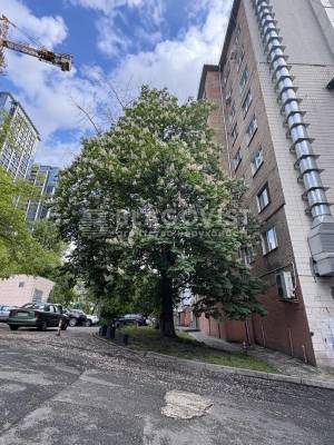 Квартира W-7381292, Большая Васильковская (Красноармейская), 81, Киев - Фото 5