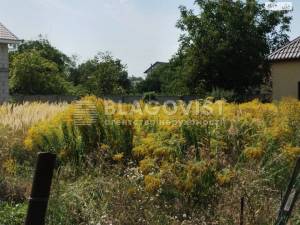 Земельна ділянка W-7443874, Пушкіна, Софіївська Борщагівка - Фото 7