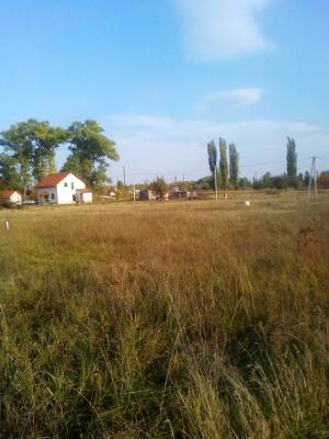 Земельный участок W-7337209, Малая Тарасовка (Броварской) - Фото 1