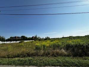 Земельный участок W-7427803, Романков - Фото 5