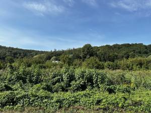 Земельный участок W-7427803, Романков - Фото 7