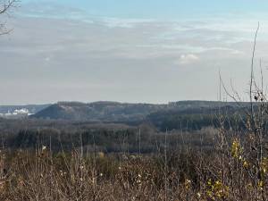 Земельный участок W-7427807, Романков - Фото 4