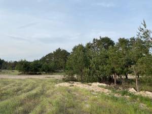 Земельный участок W-7427811, Бородянка - Фото 4