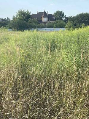 Земельный участок W-7307446, Городская, Петровское (Бориспольский) - Фото 7