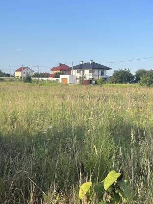 Земельный участок W-7307446, Городская, Петровское (Бориспольский) - Фото 8
