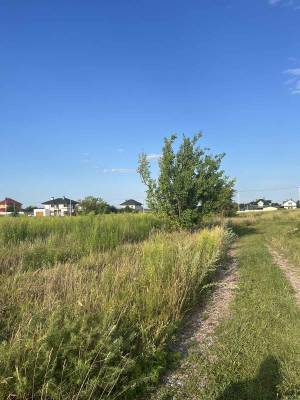 Земельный участок W-7307446, Городская, Петровское (Бориспольский) - Фото 3