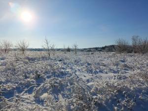 Земельна ділянка W-7432705, Михайлівка-Рубежівка - Фото 2