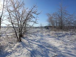 Земельна ділянка W-7432705, Михайлівка-Рубежівка - Фото 7