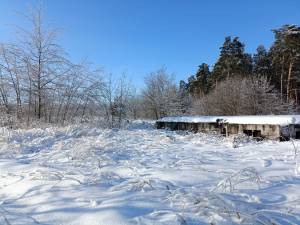 Земельна ділянка W-7432705, Михайлівка-Рубежівка - Фото 11