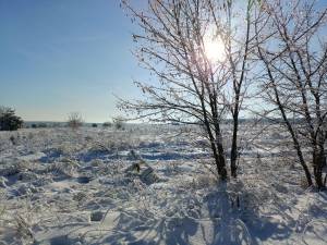 Земельна ділянка W-7432705, Михайлівка-Рубежівка - Фото 8