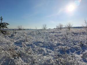 Земельна ділянка W-7432705, Михайлівка-Рубежівка - Фото 3