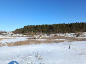 Земельный участок W-7437686, Михайловка-Рубежовка - Фото 5