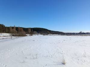 Земельный участок W-7437686, Михайловка-Рубежовка - Фото 4