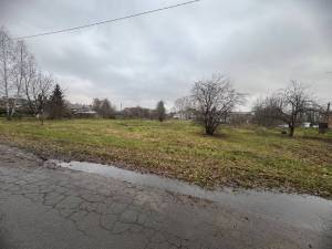 Земельный участок W-7448535, Петровское (Бориспольский) - Фото 2