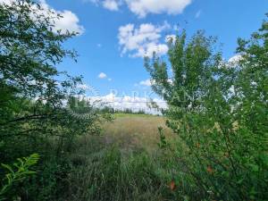 Дом W-7440068, Космонавтов, Власовка - Фото 13