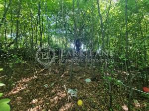 Земельный участок W-7440071, Парниковая, Киев - Фото 1