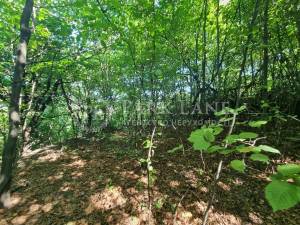 Земельный участок W-7440071, Парниковая, Киев - Фото 2