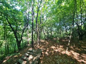 Земельный участок W-7440071, Парниковая, Киев - Фото 6