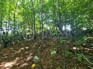 Земельный участок W-7440071, Парниковая, Киев - Фото 4