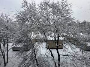 Квартира W-7434295, Тулузы, 16, Киев - Фото 4