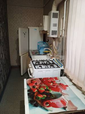 Дом W-7424368, Минеральная, Ирпень - Фото 13