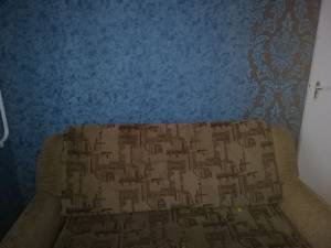 Дом W-7424368, Минеральная, Ирпень - Фото 7