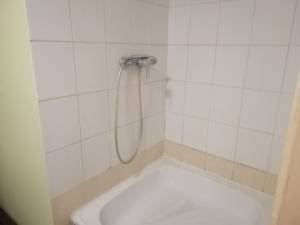 Будинок W-7424680, Павленка, Ірпінь - Фото 9