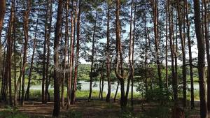  Окремо розташована будівля, W-7391657, Світла, Київ - Фото 10