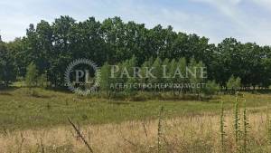  Окремо розташована будівля, W-7391657, Світла, Київ - Фото 12